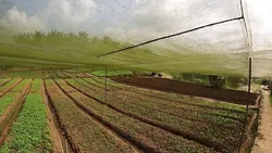 Small Farms Win: Modular Kits and Ready Sizes